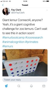 Lemur Connect 4